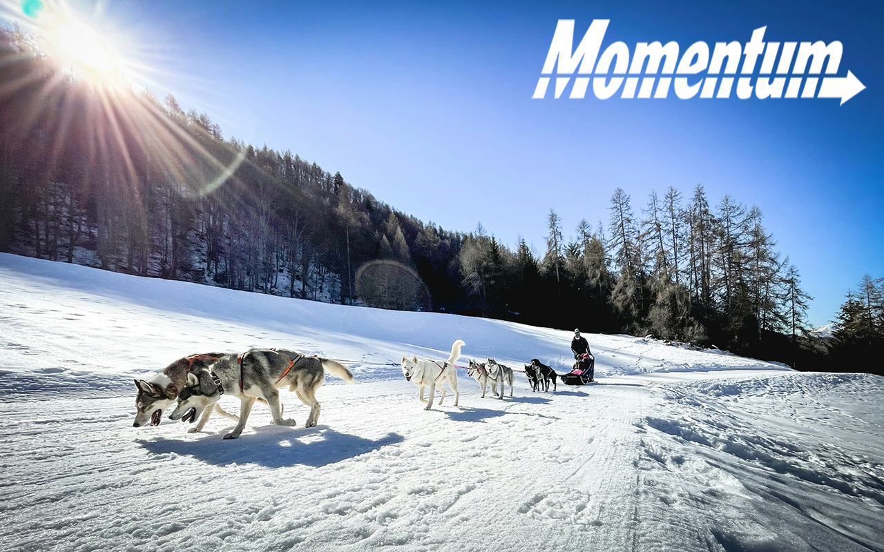Sled dogs and their driver on a snowy expanse under a blue sky with mountains in the background.